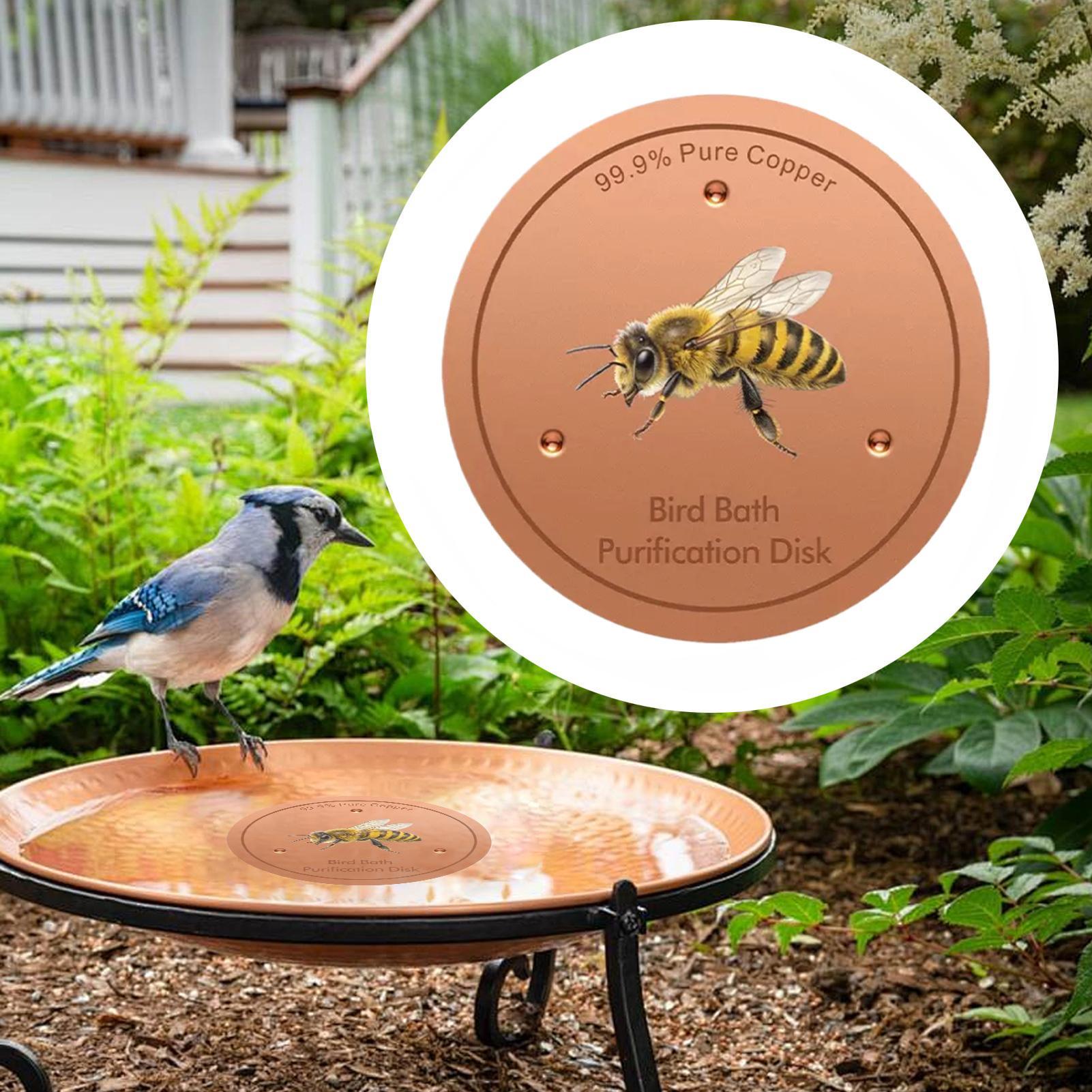 10cm Bee P attern Bird Bath Di - đánh giá và giá P & C Home Textiles Usa