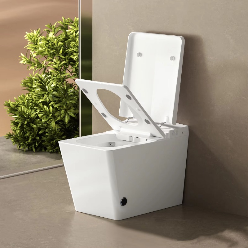 Smart Wc Toilet Smart Toilet S - đánh giá và giá P & C Home Textiles Usa