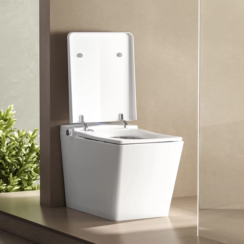 Smart Wc Toilet Smart Toilet S - đánh giá và giá P & C Home Textiles Usa