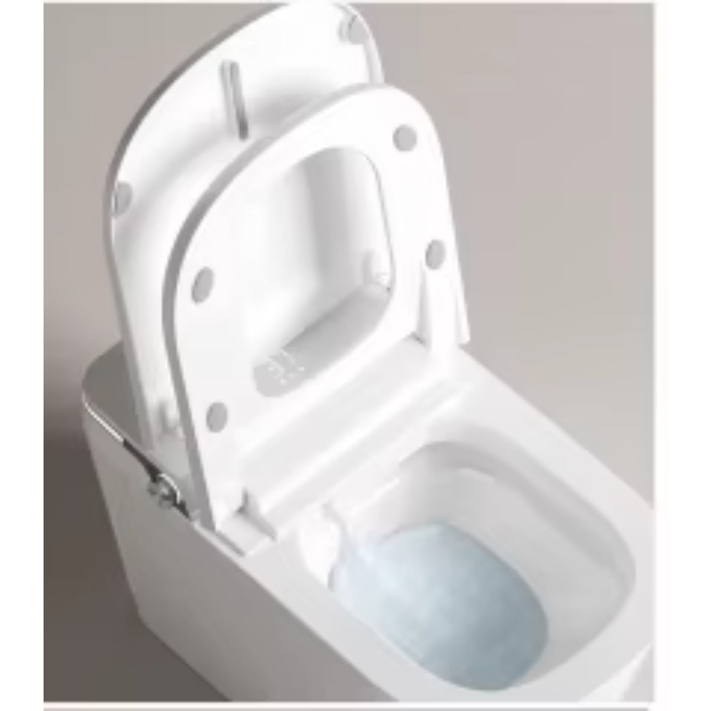 White Smart Toilet Square Bowl - đánh giá và giá P & C Home Textiles Usa