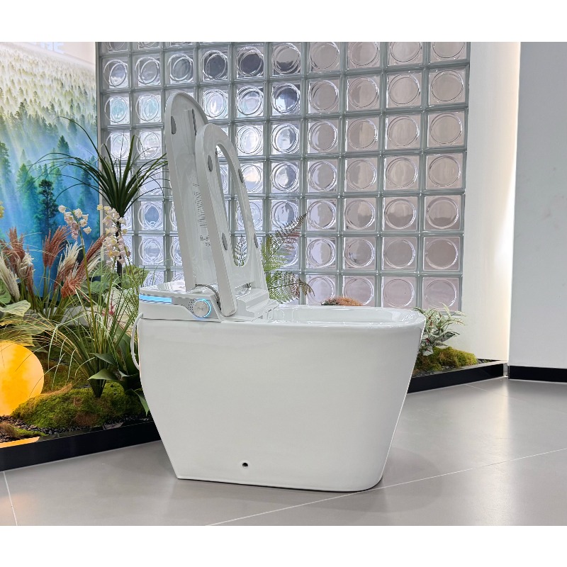 High-end Floor Mounted Smart T - đánh giá và giá P & C Home Textiles Usa