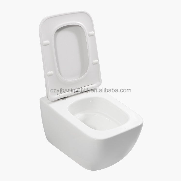 Toilet,Standard Toilet Bowl Se - đánh giá và giá P & C Home Textiles Usa