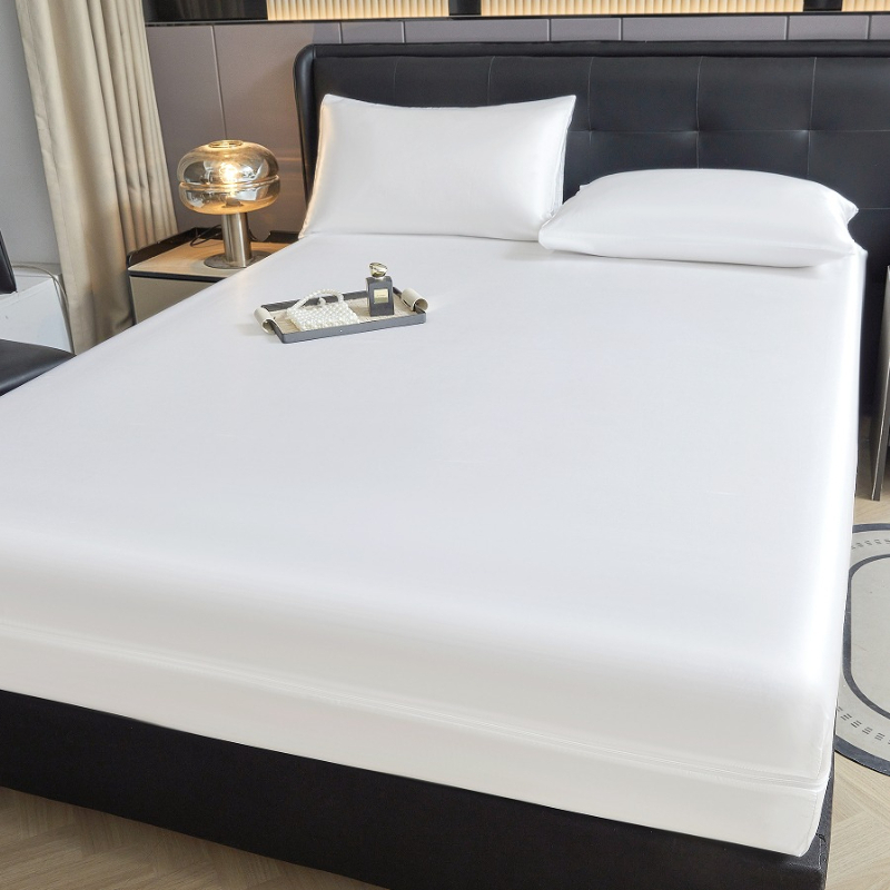 6-Sided Zipper Mattress Encase - đánh giá và giá Mattress Pad Topper